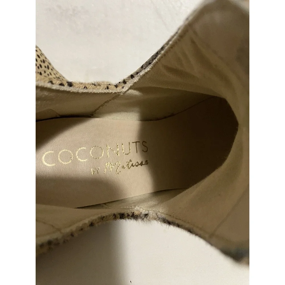 Coconuts by Matisse coconuts by